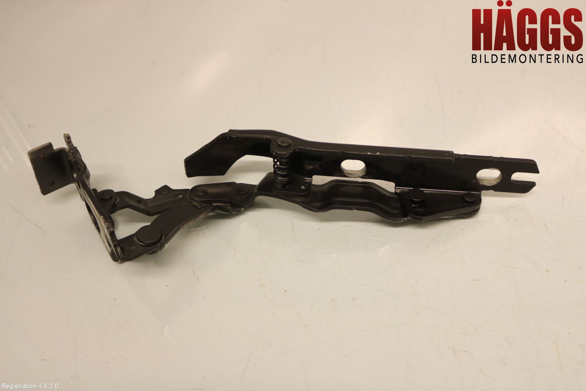 Fiat FREEMONT Huvgångjärn