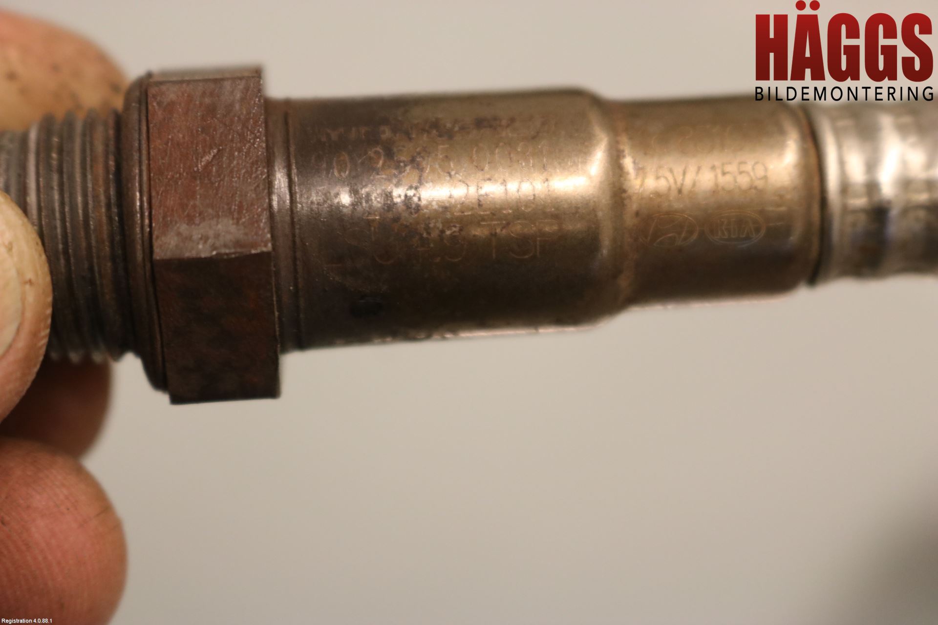 Kia OPTIMA 16-20 Injlambdasond