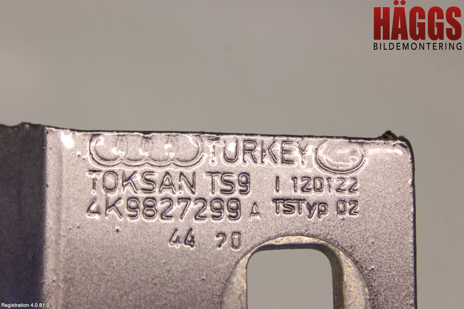 Audi A6 F2/C8 19- Bakluckegångjärn Vä