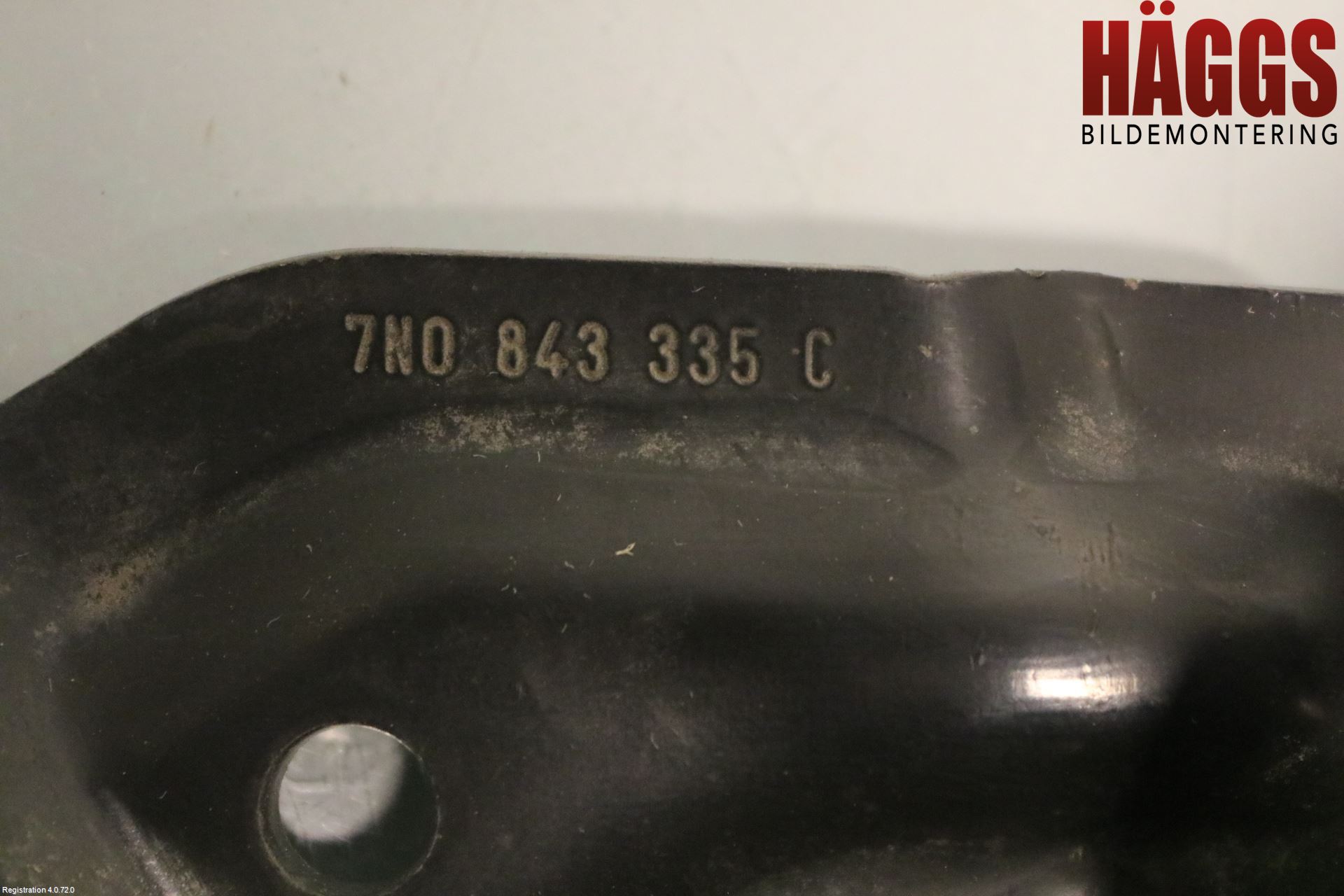 Volkswagen VW SHARAN 11- Dörrgångjärn