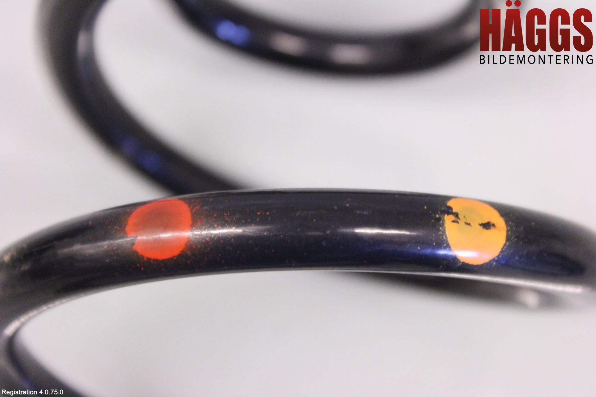 Toyota COROLLA 19- Fjäder Bak