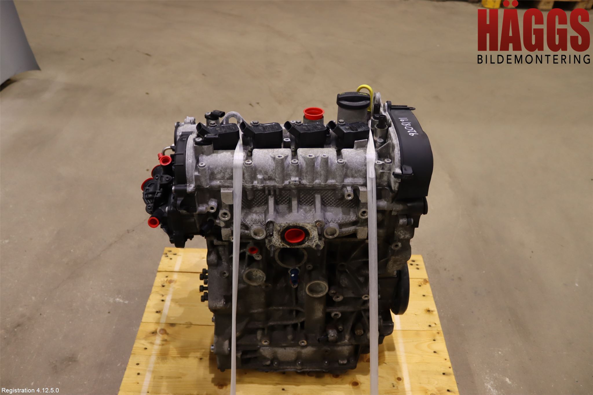 Volkswagen VW GOLF / E-GOLF VII 13-20 Motor Bensin