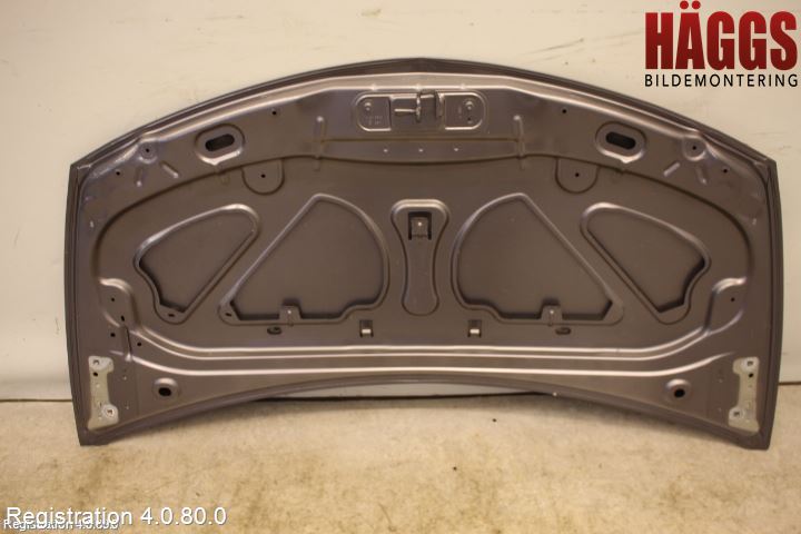 Renault CLIO III  09-12 Huv Fram