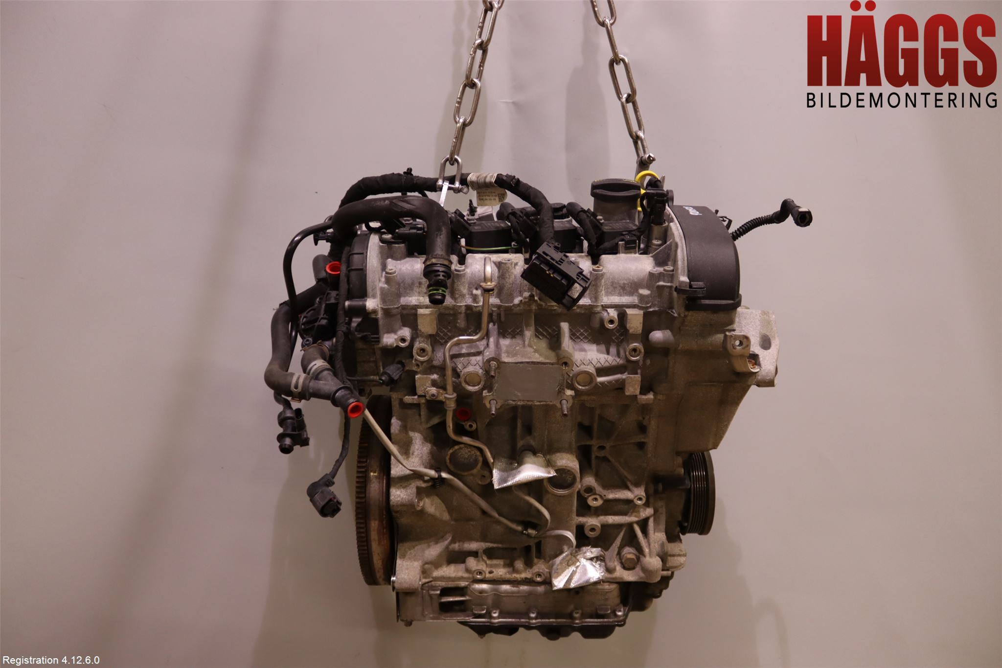 Volkswagen VW GOLF / E-GOLF VII 13-20 Motor Bensin