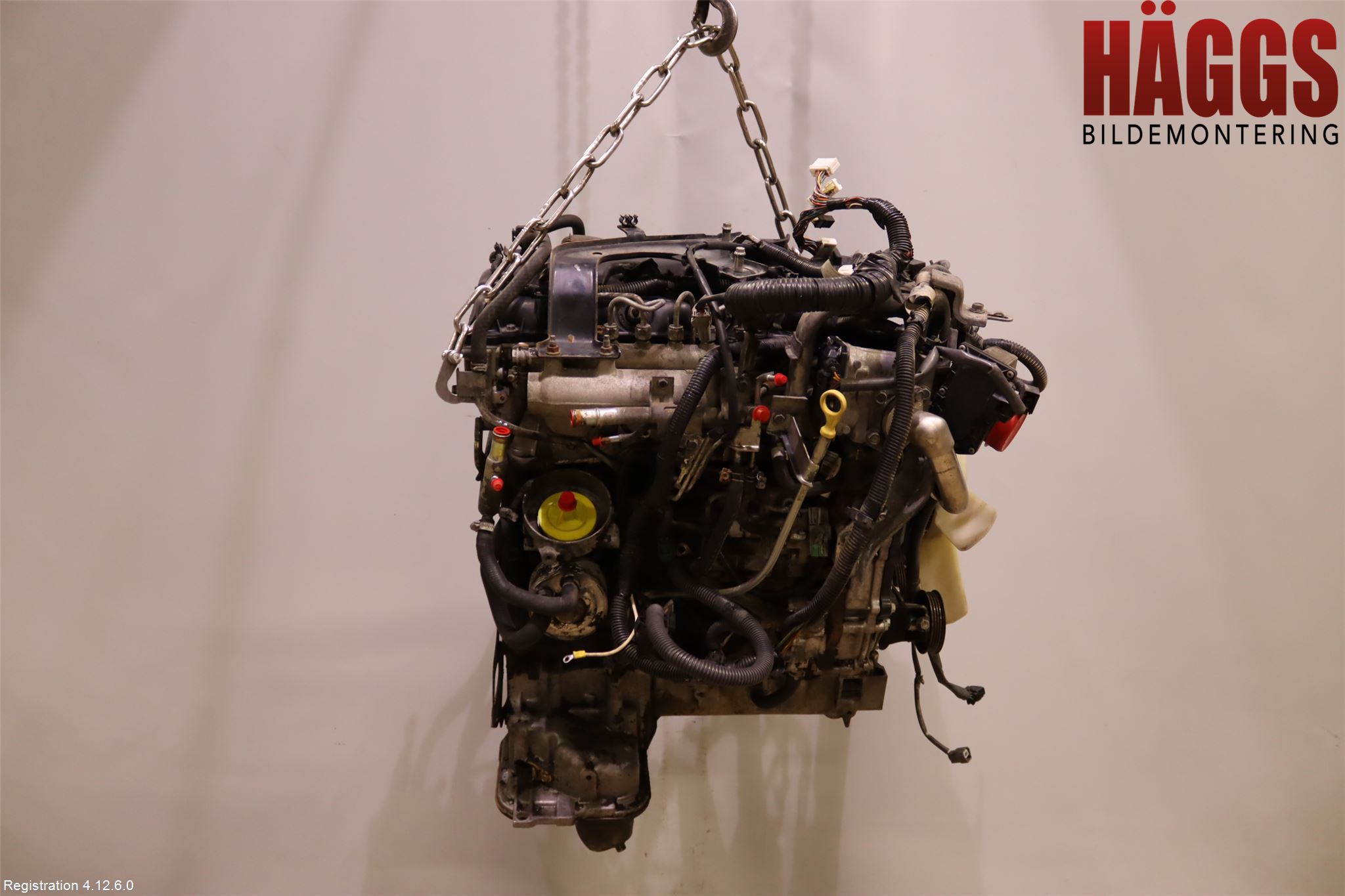 Nissan NAVARA 05-16 Motor Diesel