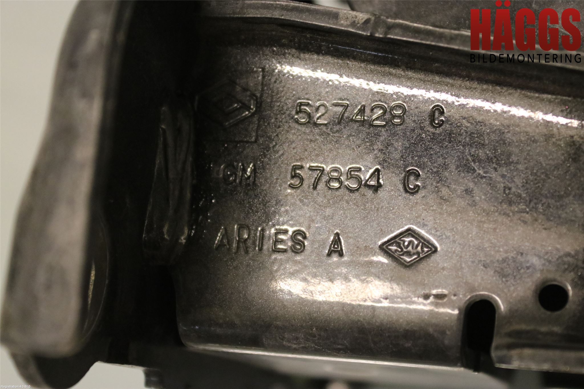 Renault TRAFIC   02-14 Dörrgångjärn