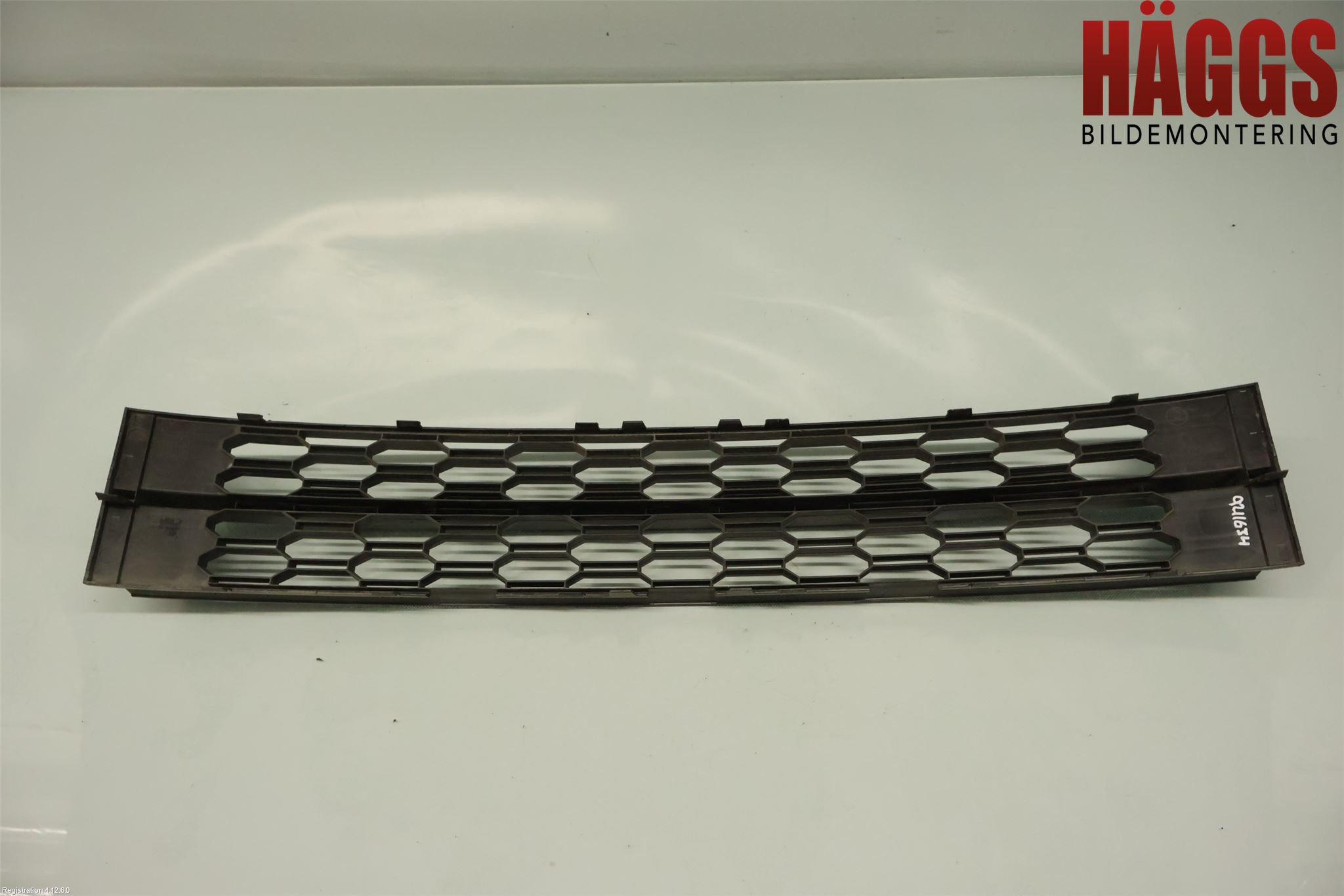 Skoda OCTAVIA (5E) 13-20 Grill-Galler