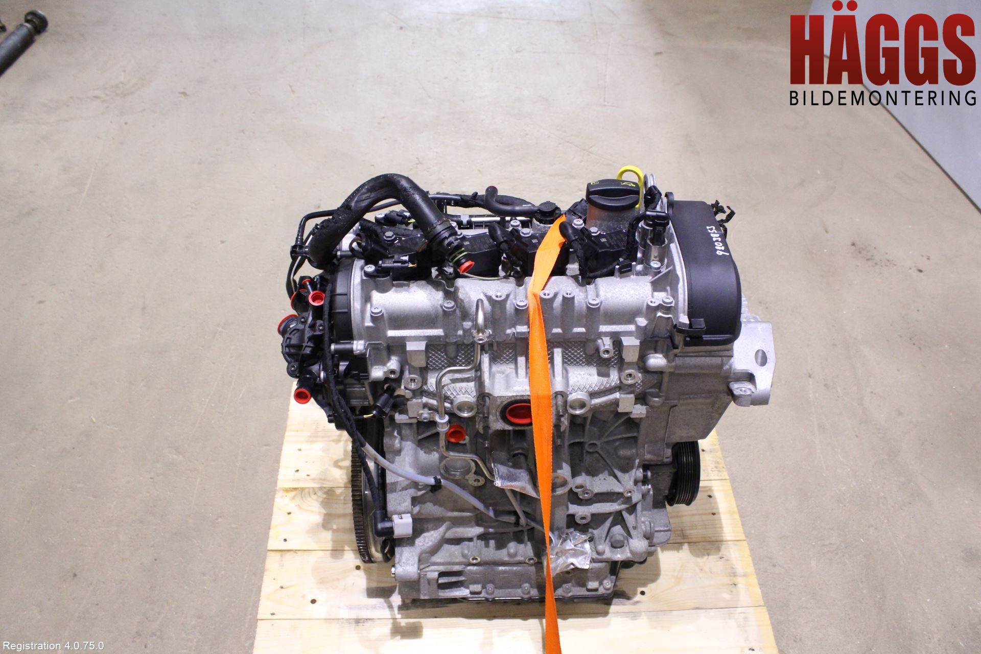 Volkswagen VW GOLF / E-GOLF VII 13-20 Motor Bensin