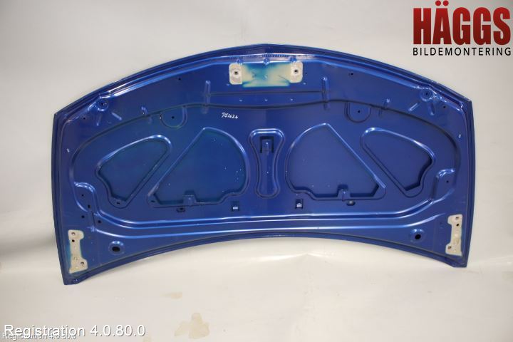 Renault CLIO III  06-09 Huv Fram