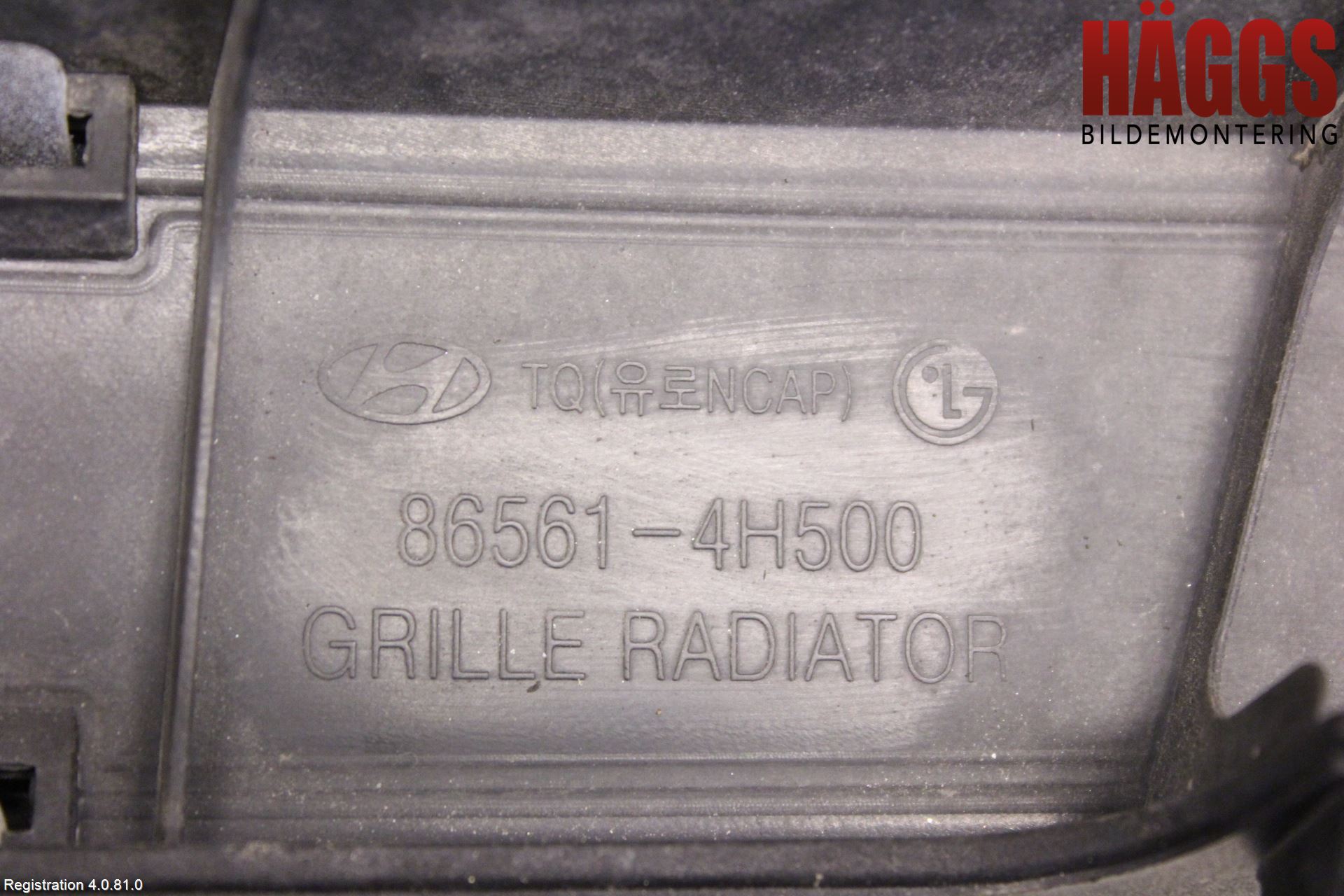 Hyundai H-1/STAREX 08-21 Grill-Galler