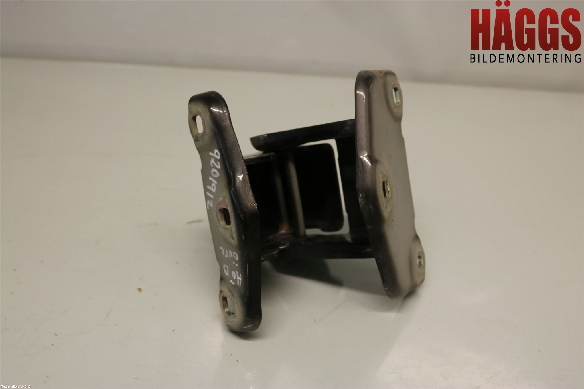 Renault TRAFIC   02-14 Dörrgångjärn