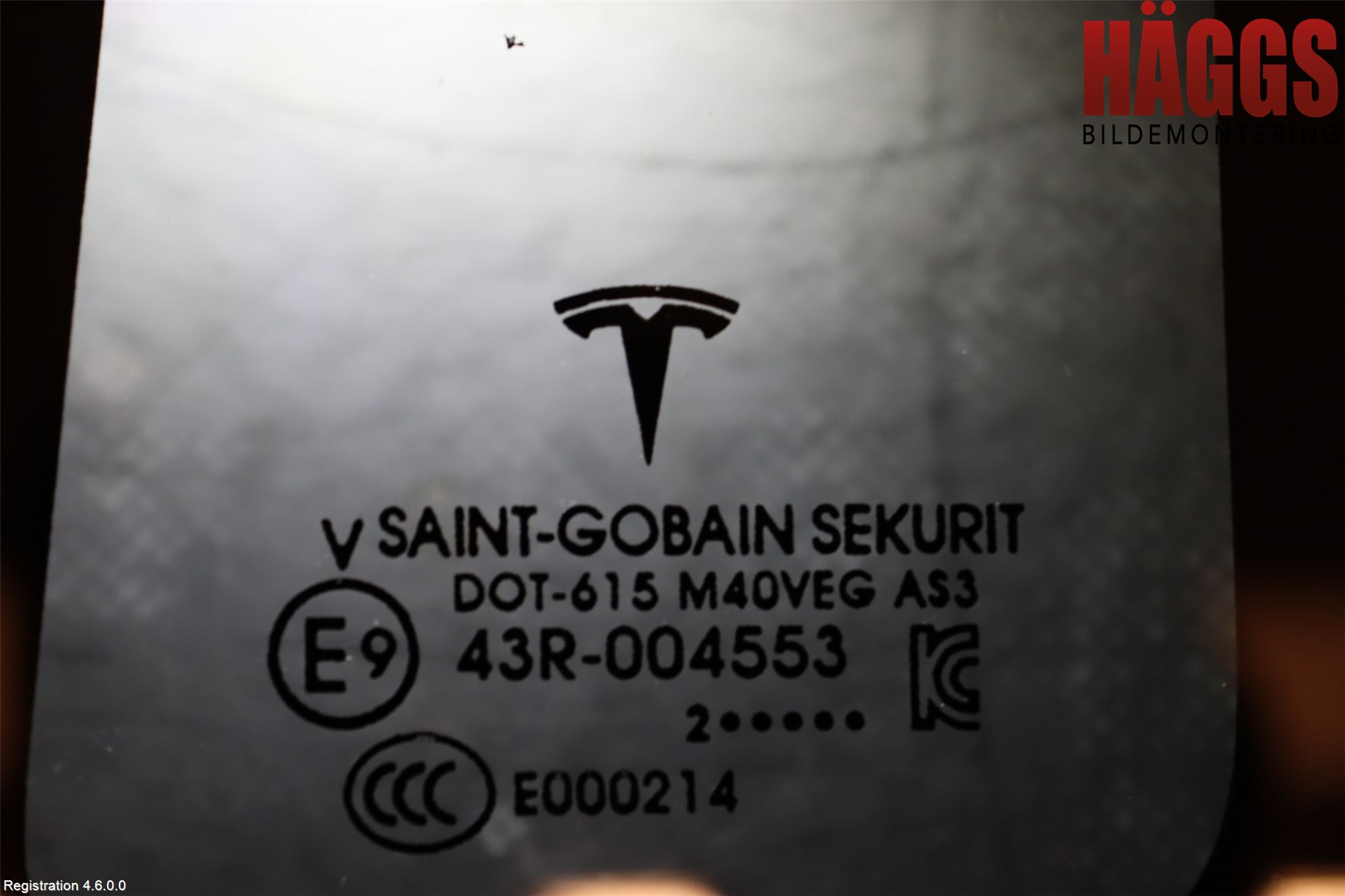 Tesla MODEL X 16- Dörruta Bak Lilla Vä