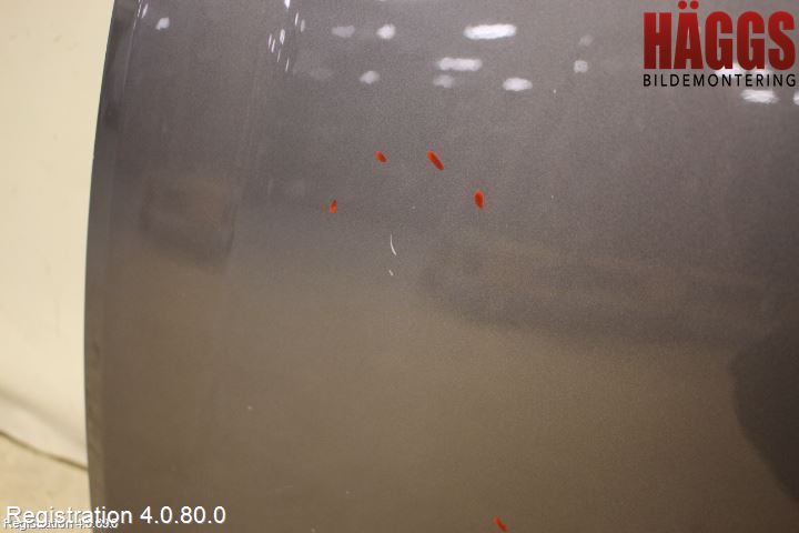 Renault CLIO III  09-12 Huv Fram