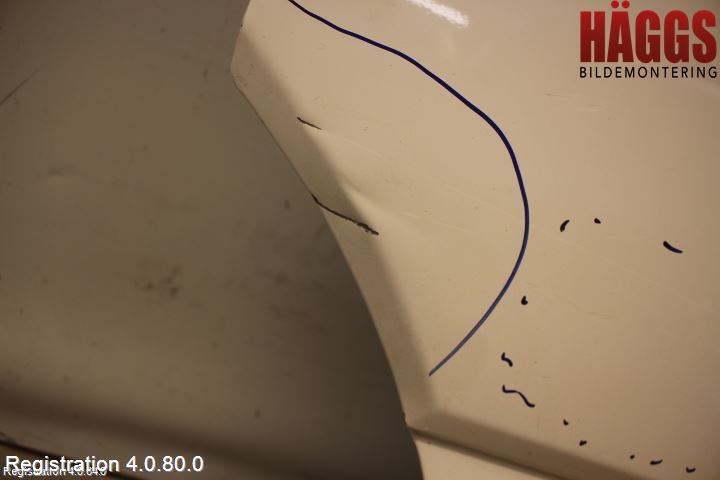 Volkswagen VW CRAFTER 06-16 Dörr Fram Vänster