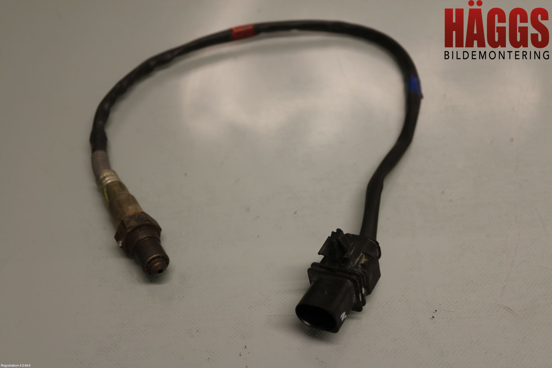 Kia CEED 12-18 Injlambdasond