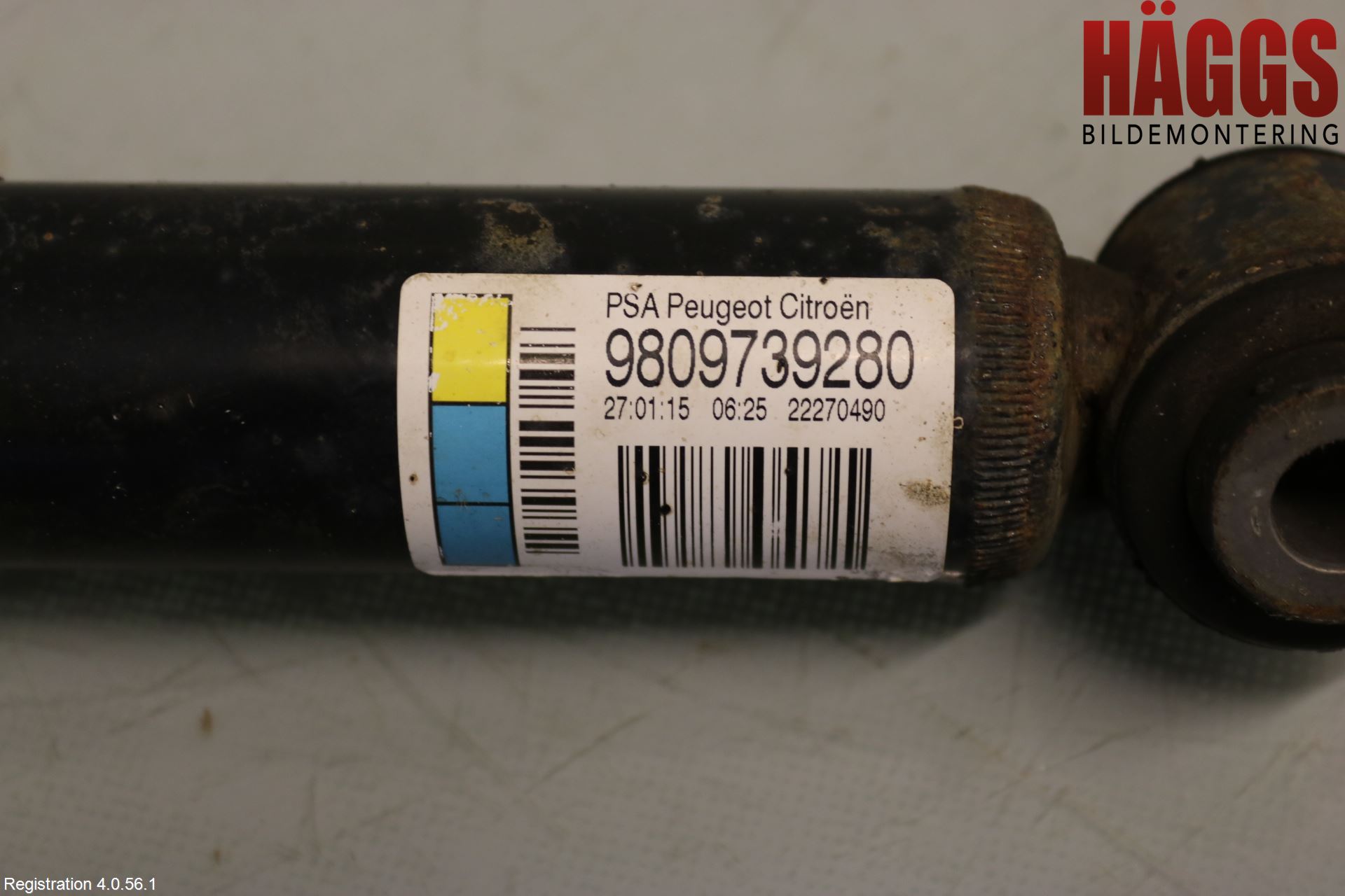 Citroen C4 CACTUS 14-20 Stötdämpare Bak