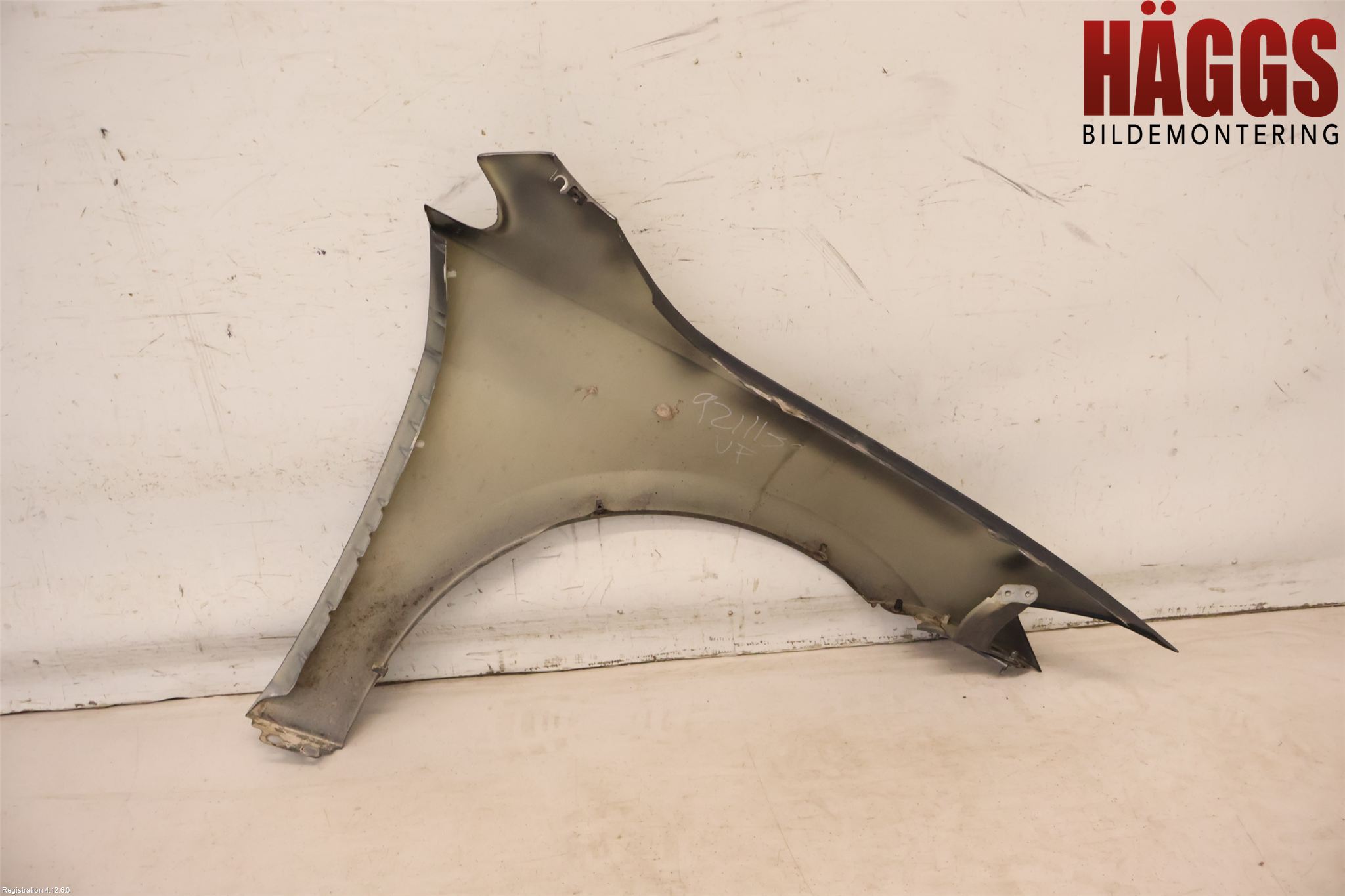 Volkswagen VW GOLF / E-GOLF VII 13-20 Skärm Fram Vänster