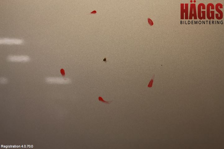 Ford FOCUS 08-11 Huv Fram