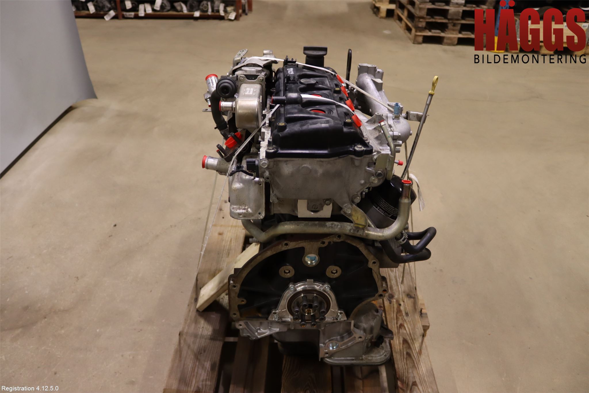 Nissan NAVARA 05-16 Motor Diesel
