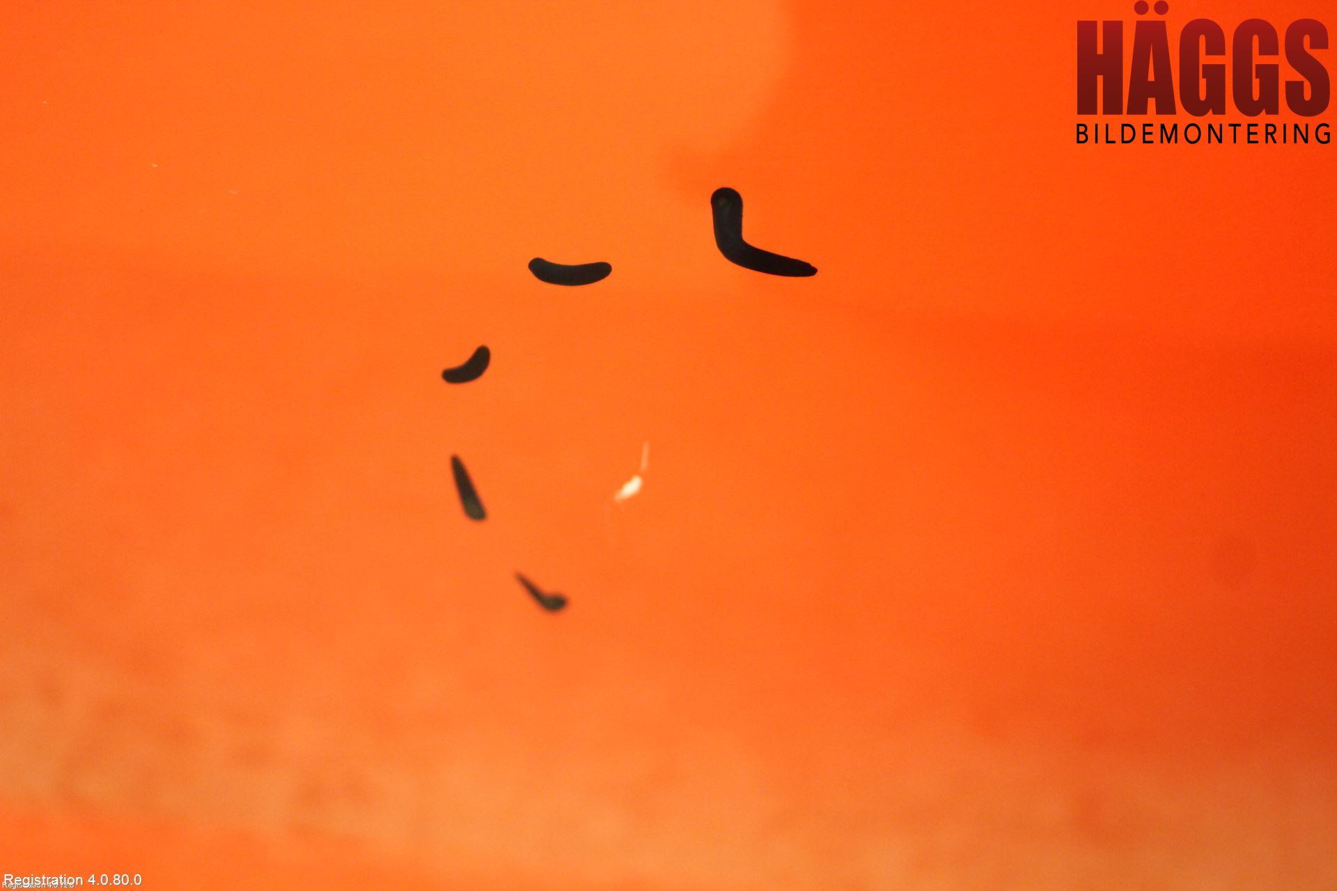 Opel CORSA D 07-14 Dörr 2D Vänster