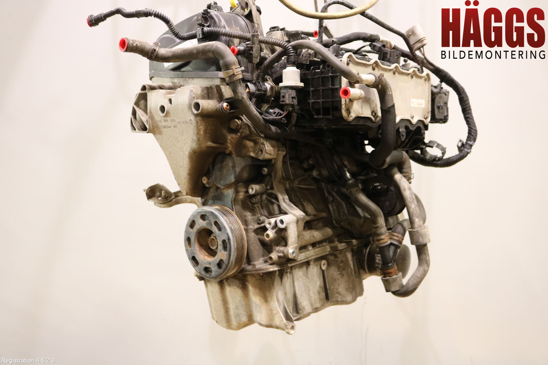 Volkswagen VW GOLF / E-GOLF VII 13-20 Motor Bensin