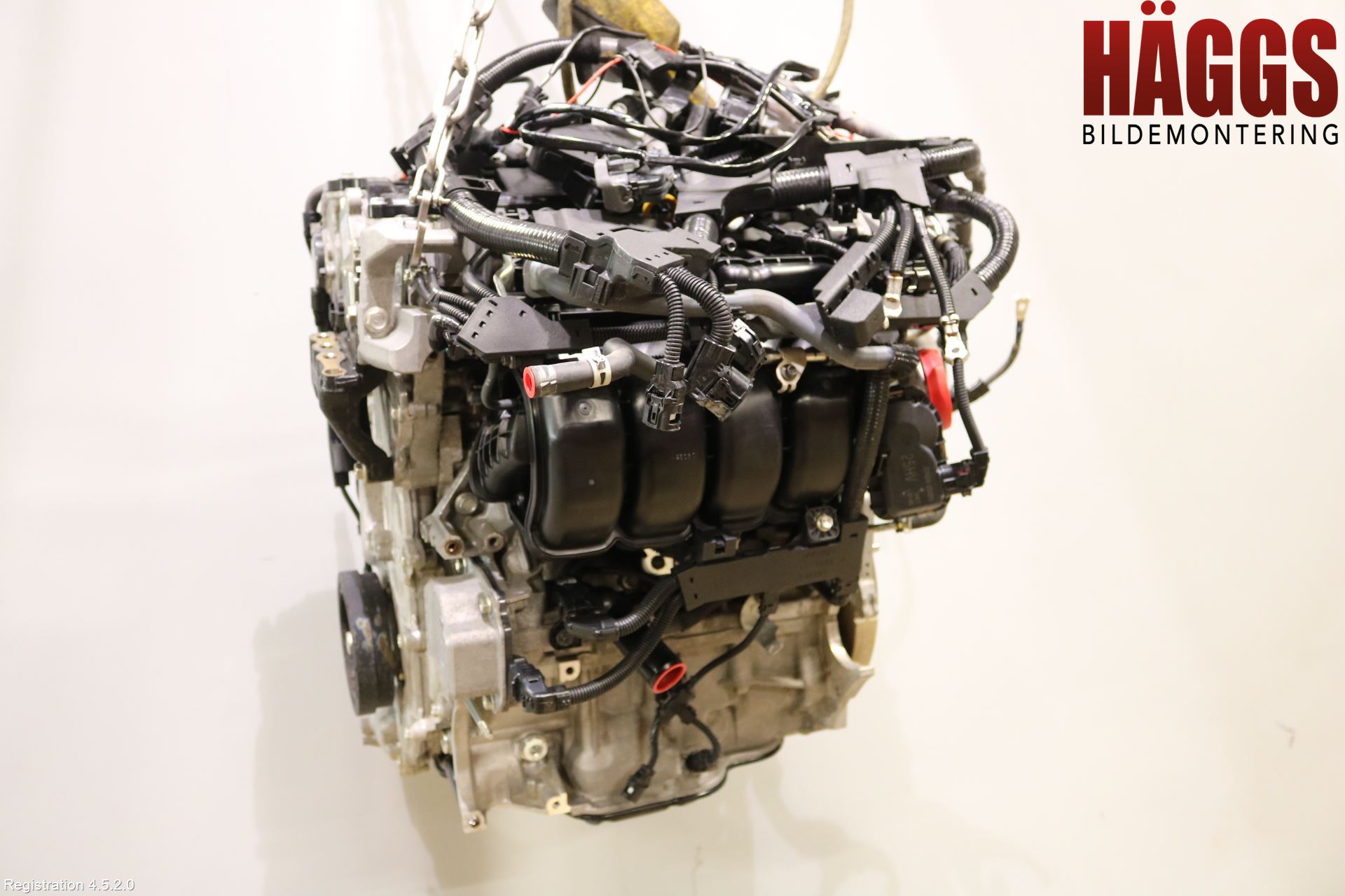 Toyota RAV4 19- Motor Bensin
