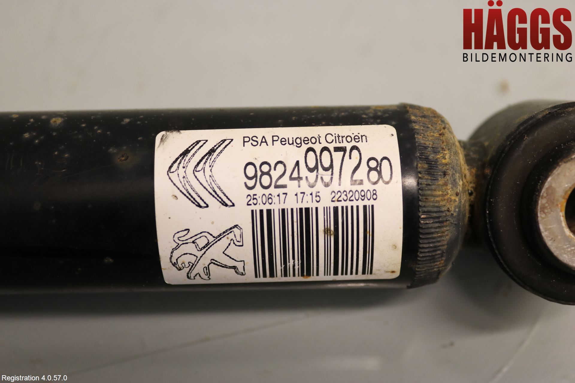 Citroen COTROEN C3 17-24 Stötdämpare Bak