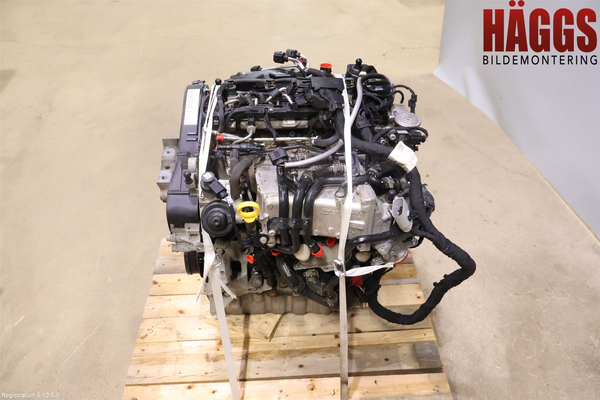 Volkswagen VW GOLF / E-GOLF VII 13-20 Motor Diesel