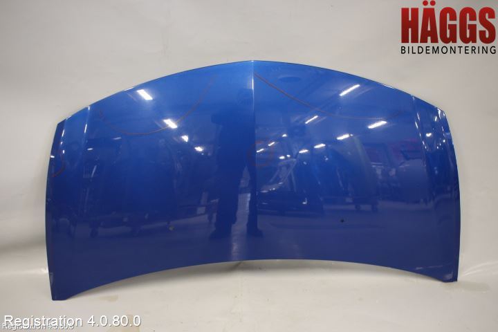 Renault CLIO III  06-09 Huv Fram