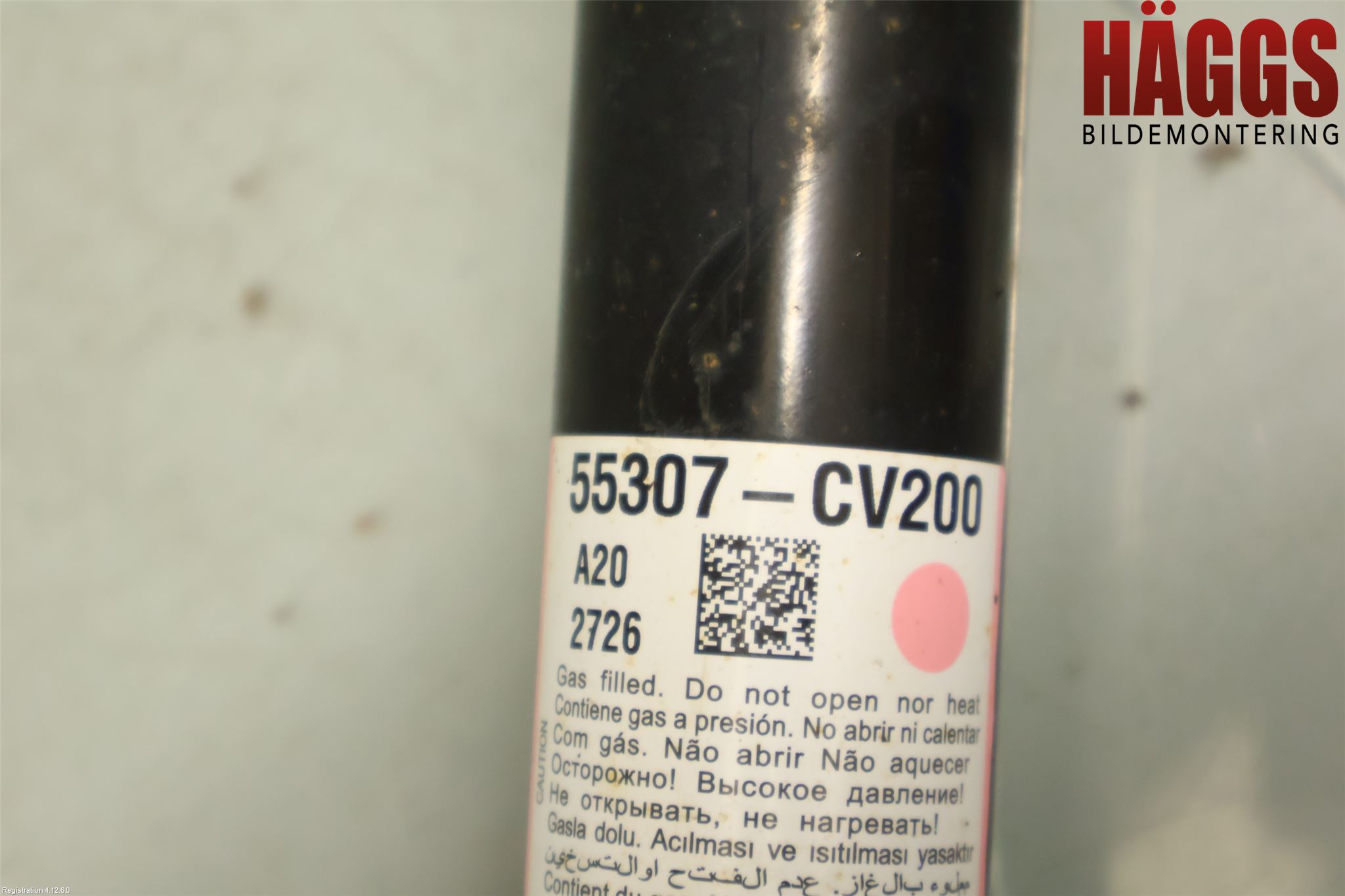 Kia EV6 (CV) 22- Stötdämpare Bak