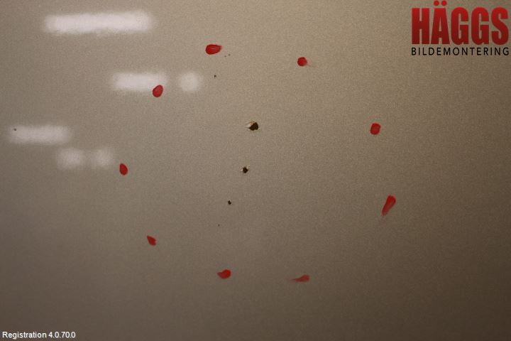 Ford FOCUS 08-11 Huv Fram