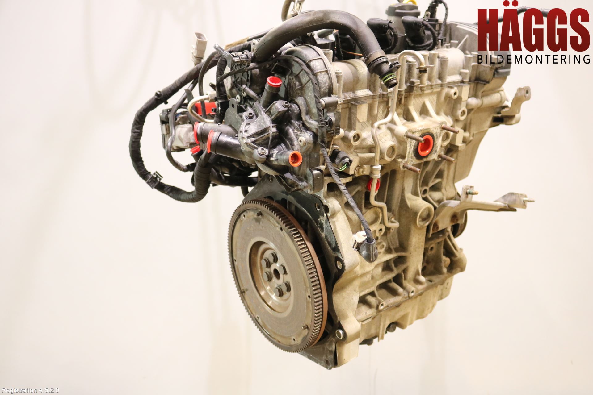 Volkswagen VW GOLF / E-GOLF VII 13-20 Motor Bensin