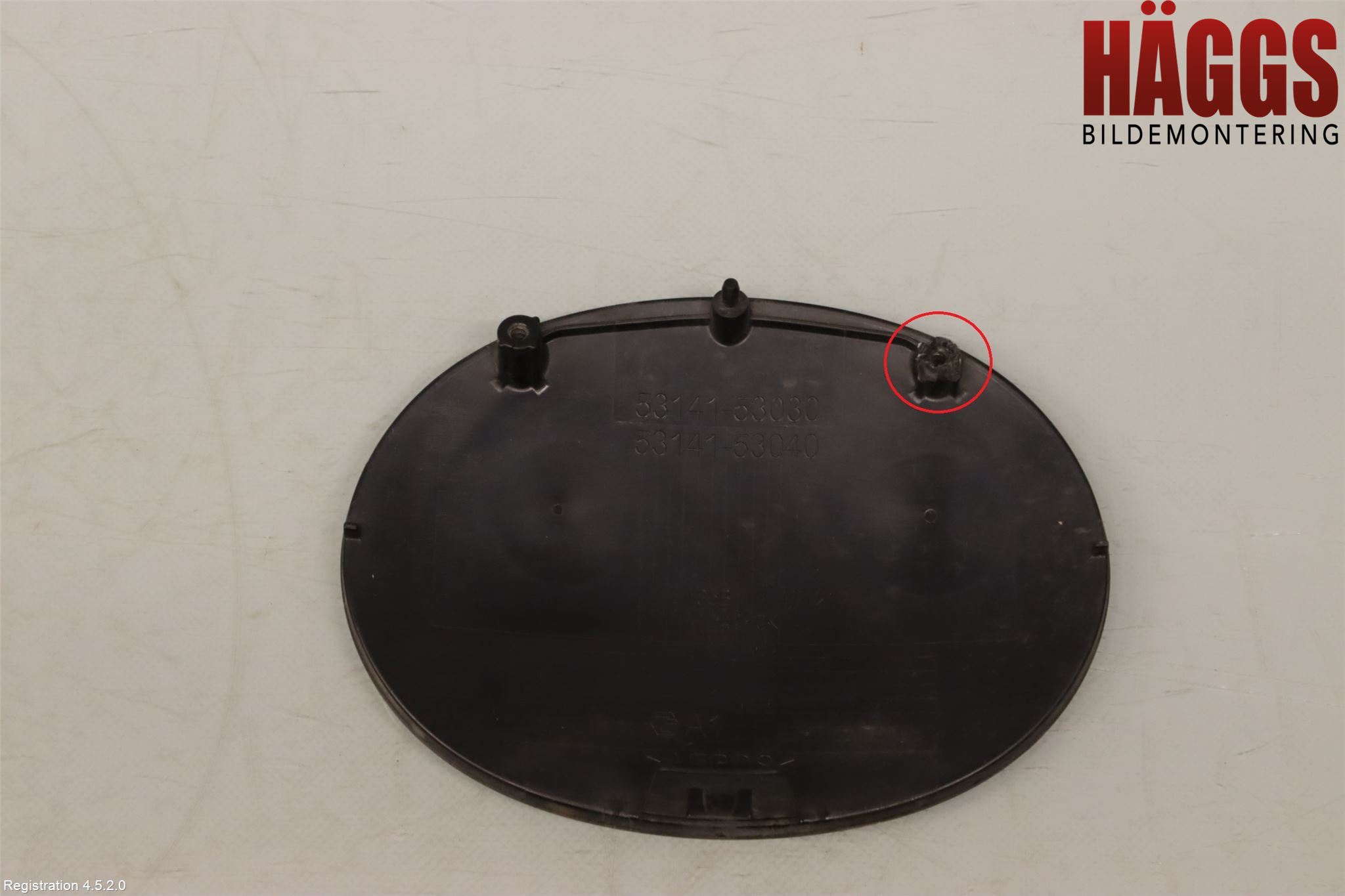 Lexus NX 300h 15-21 Emblem