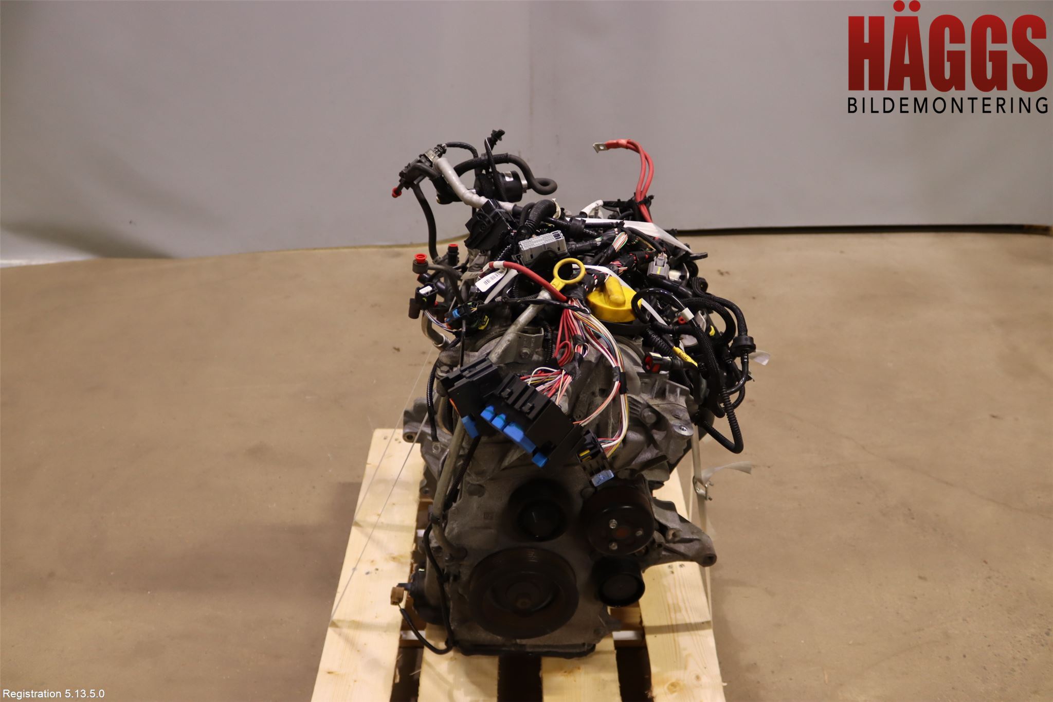 Renault CAPTUR 13-19 Motor Bensin