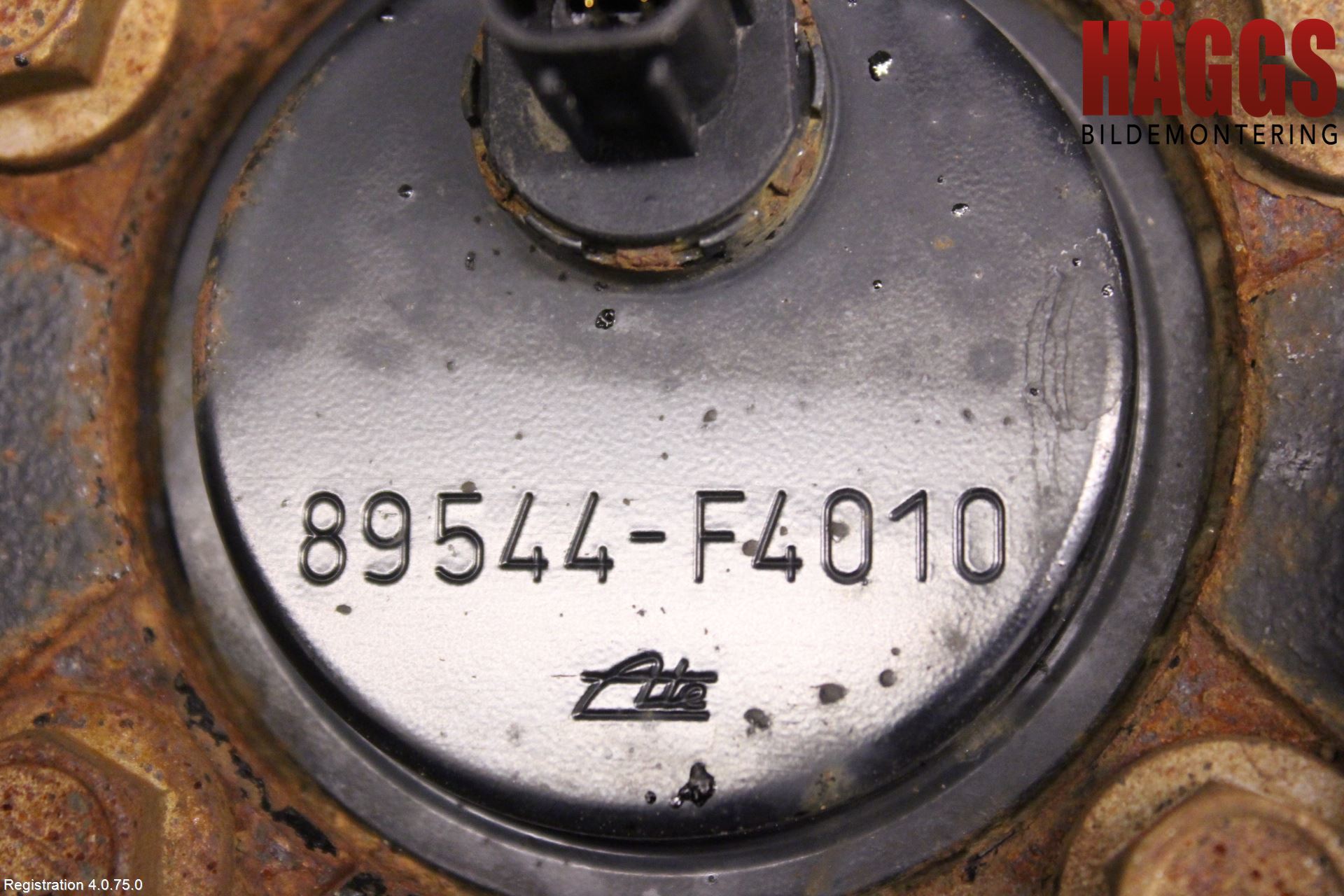 Toyota COROLLA 19- Hjullagerhus-Spindel Hö B