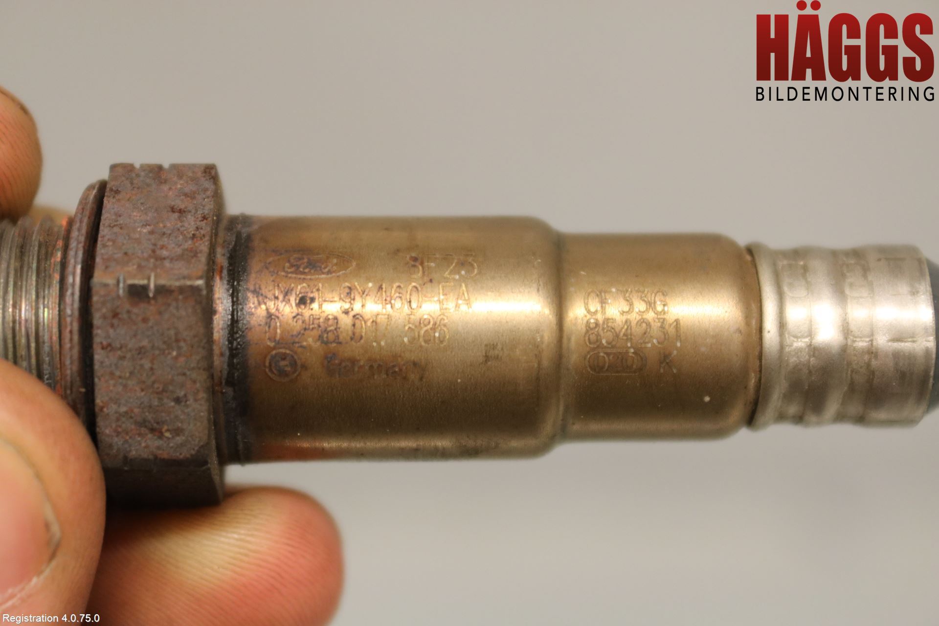 Ford FOCUS 19- Injlambdasond