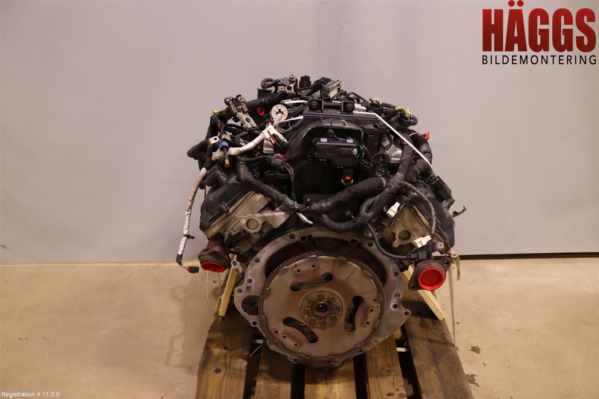 Dodge PICK UP RAM 81- Motor Bensin