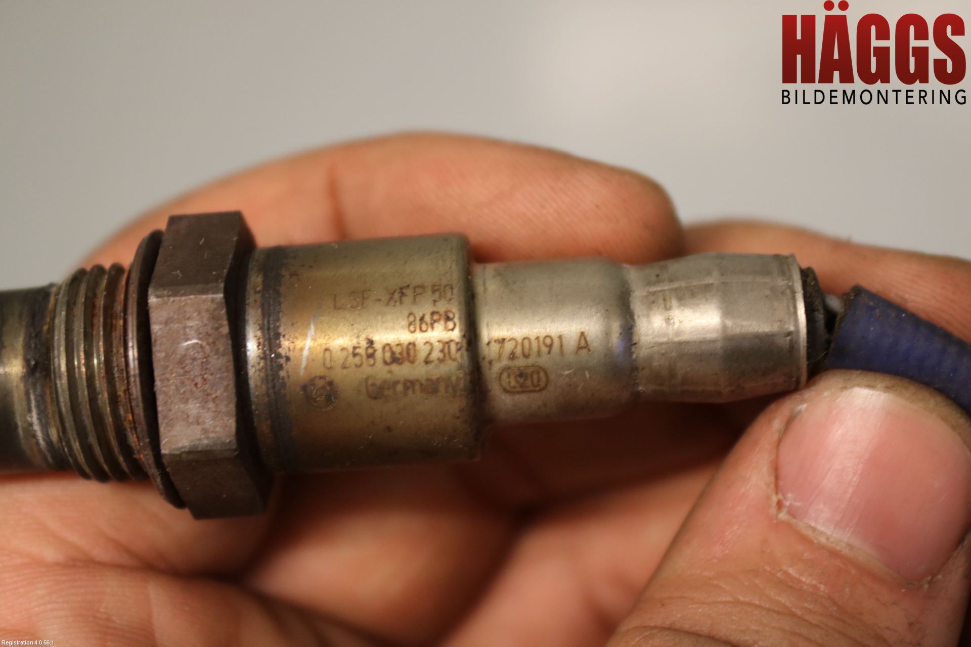 Suzuki VITARA 15- Injlambdasond