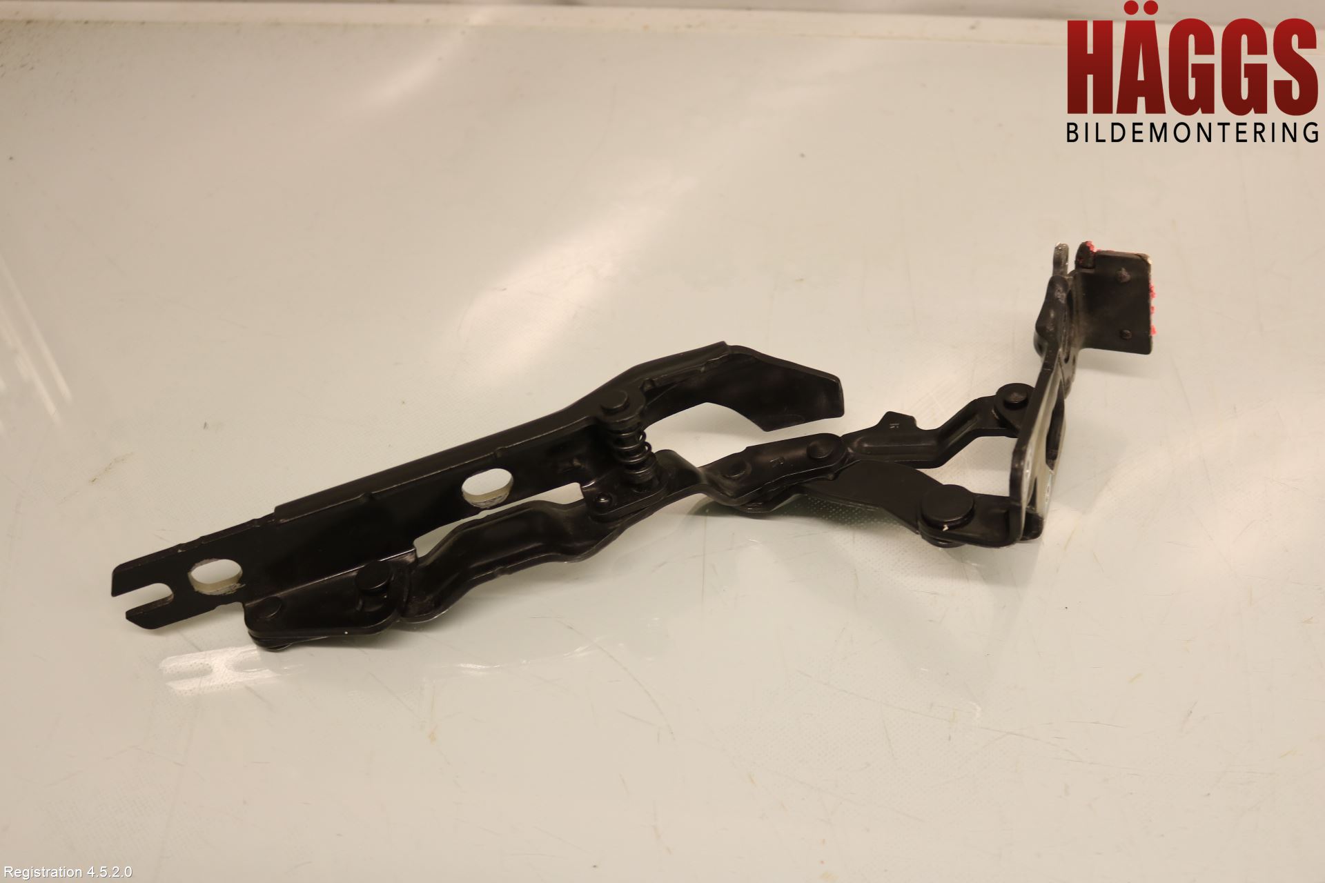 Fiat FREEMONT Huvgångjärn