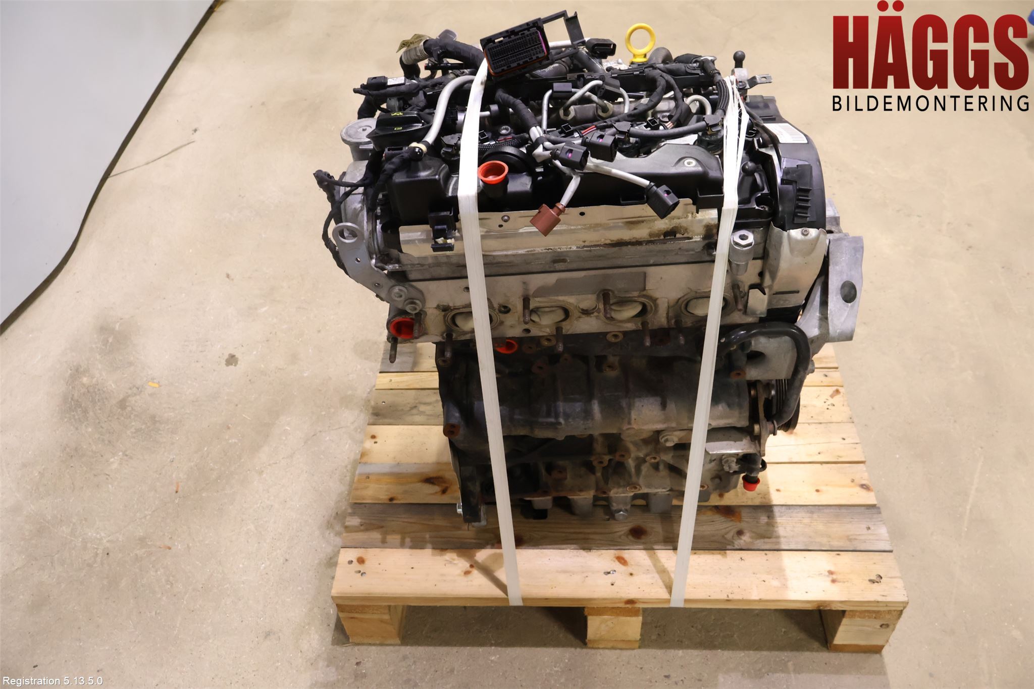 Volkswagen VW GOLF / E-GOLF VII 13-20 Motor Diesel