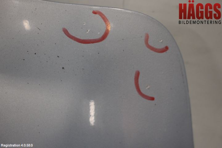 Ford FOCUS 08-11 Dörr Bak Vänster