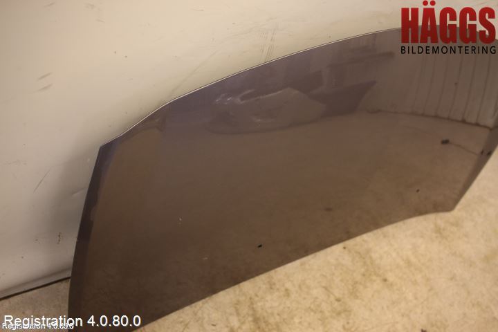 Renault CLIO III  09-12 Huv Fram