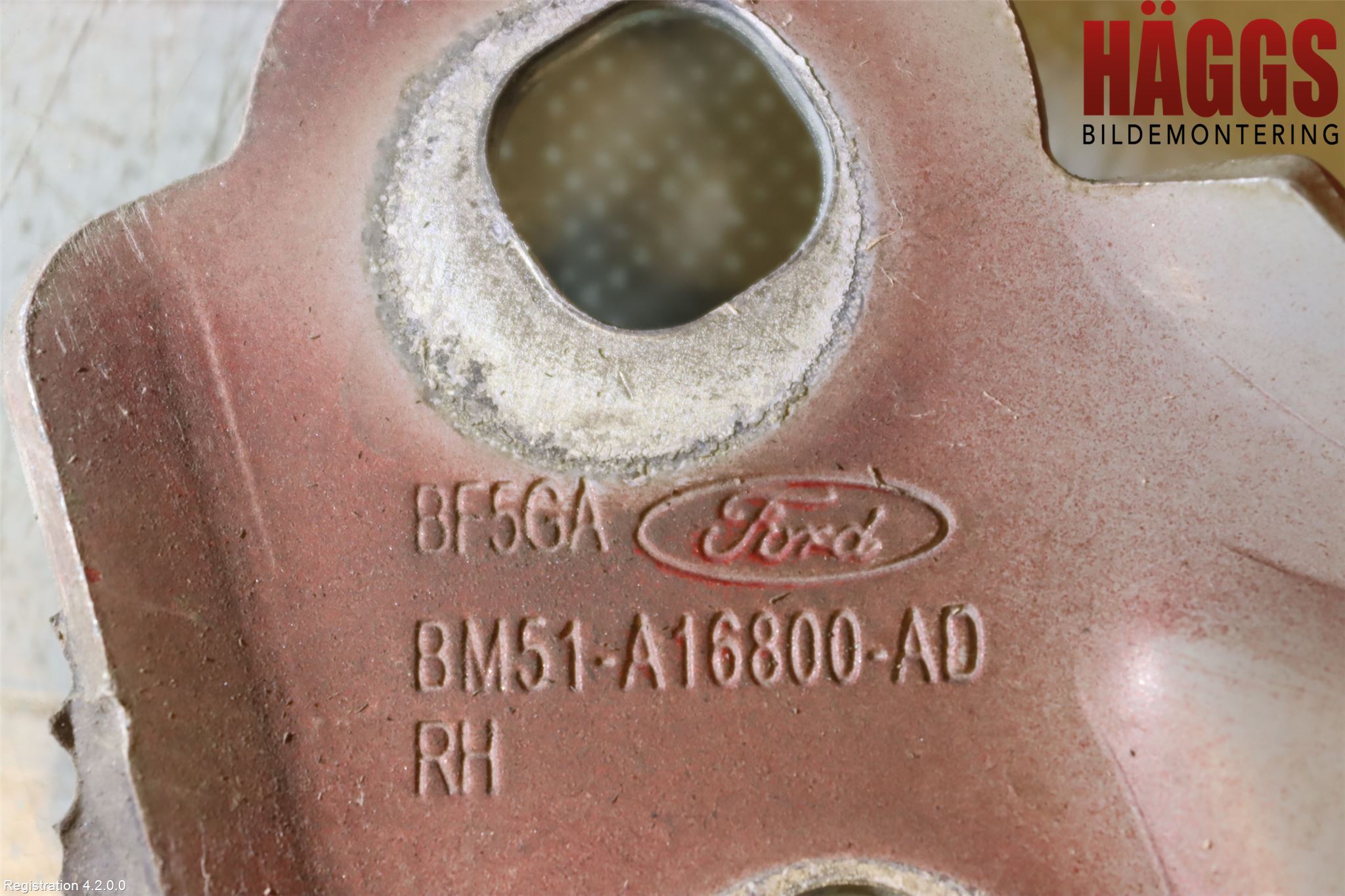 Ford FOCUS 15-18 Huvgångjärn