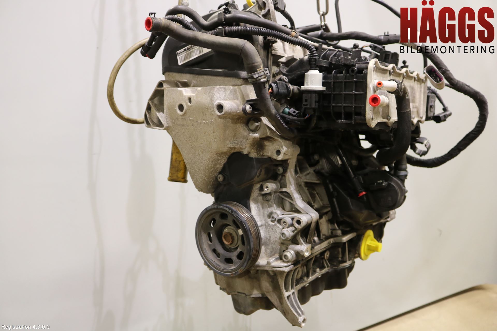 Volkswagen VW GOLF / E-GOLF VII 13-20 Motor Bensin
