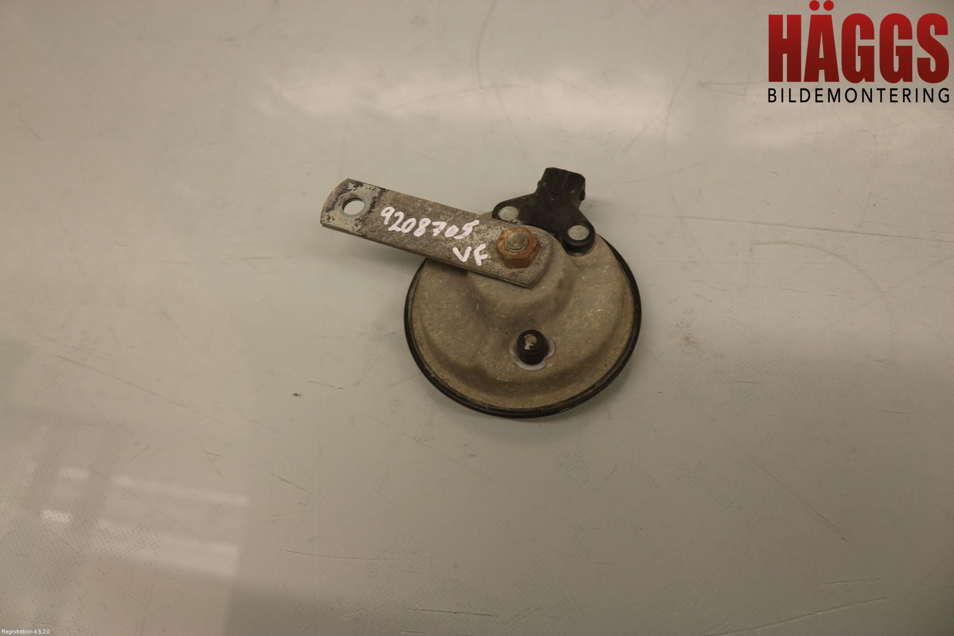 Ford RANGER EU 12-23 Signalhorn