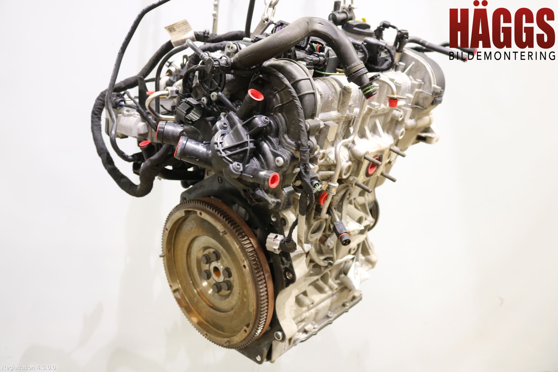 Volkswagen VW GOLF / E-GOLF VII 13-20 Motor Bensin