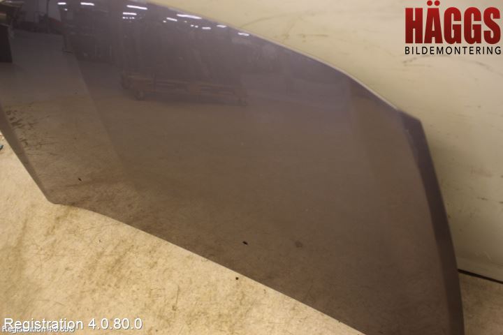 Renault CLIO III  09-12 Huv Fram