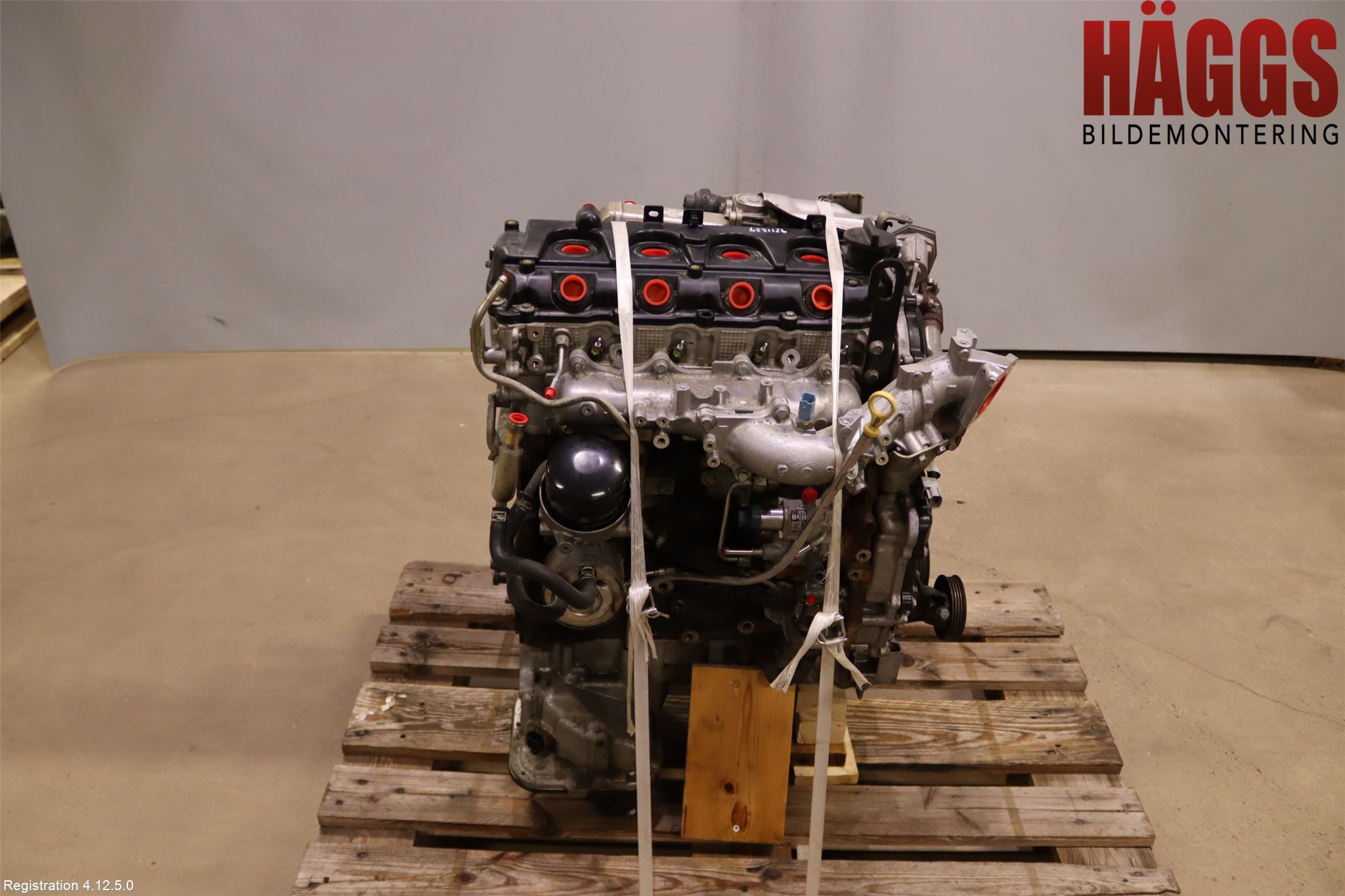 Nissan NAVARA 05-16 Motor Diesel