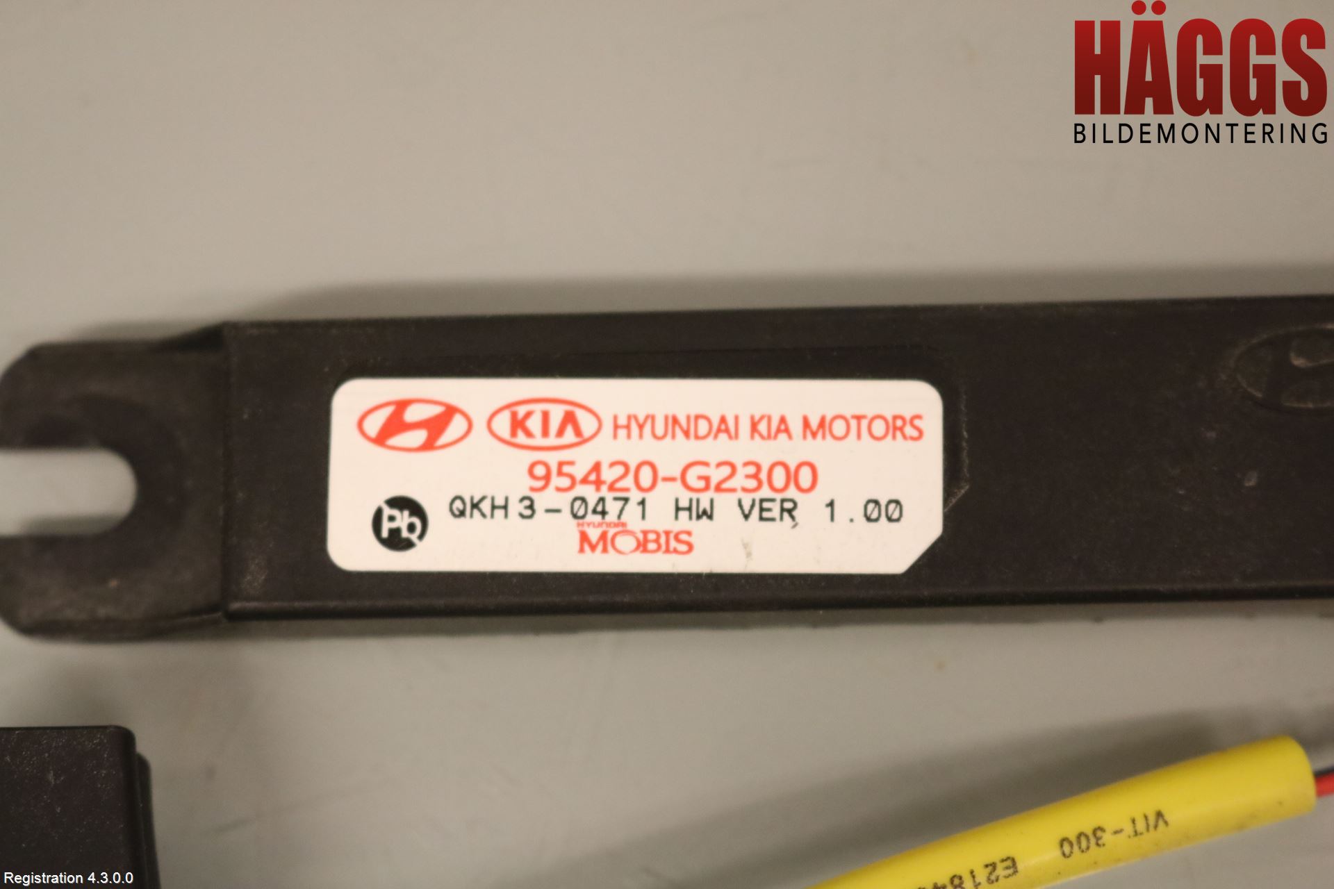 Kia NIRO (DE) 17-22 Antennförstärkare