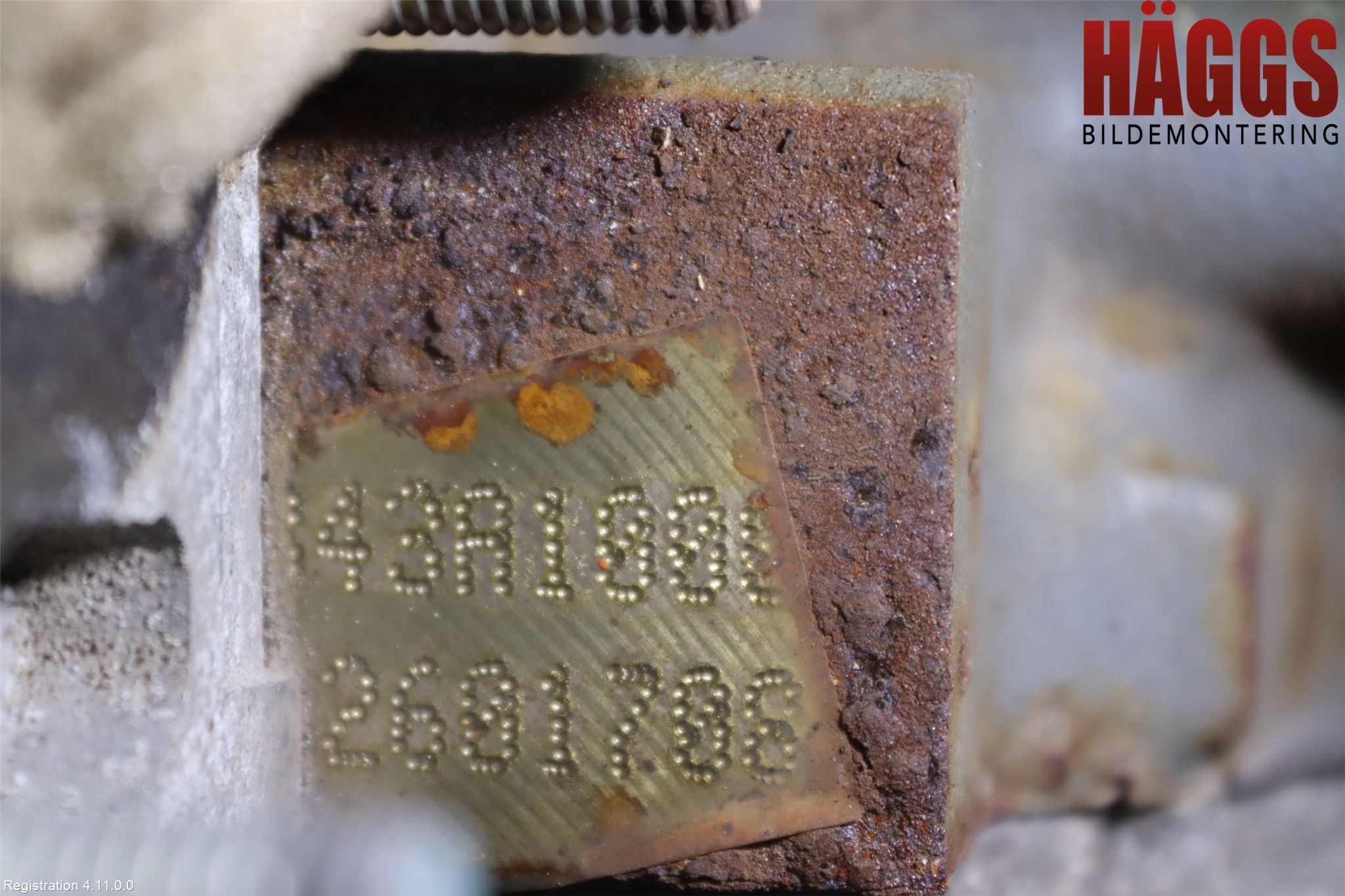 Fiat TIPO/CROSS 16- Motor Bensin